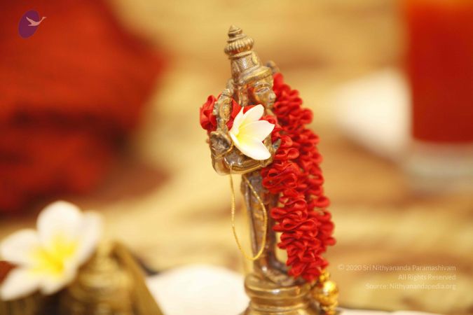 20131208 Photo 1065 1 ULtAhOUrjwy61E1M6krVHfpAraNQk9i.JPG