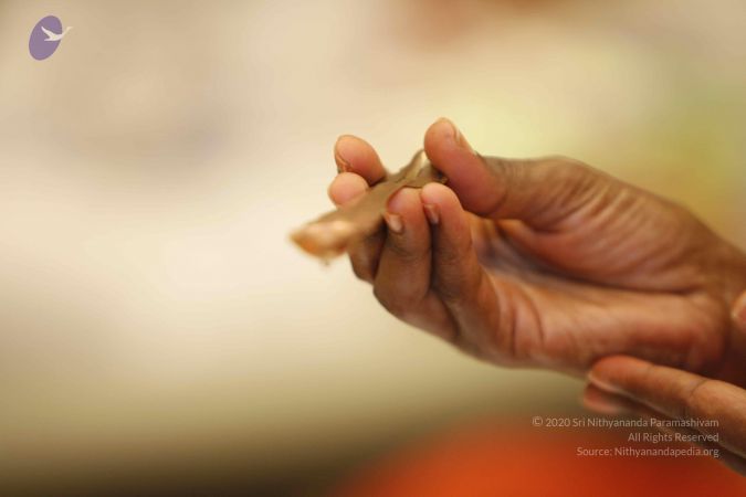 20131212 Photo 1023 17aZvlJDT2T2PNt03qrEa9UFGvo485AAc.JPG