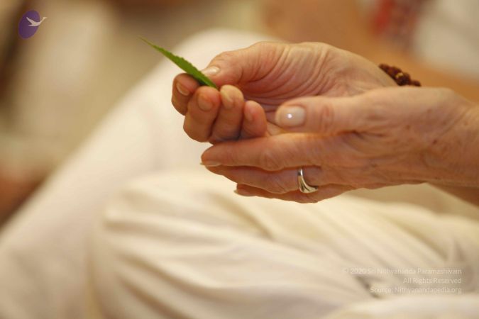 20131212 Photo 1031 1xVIkupgcLJd5OK2LVGeuqH2qfLgTw-1F.JPG