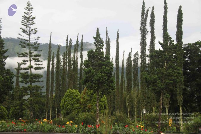 20131217 Photo 1054 1RdPBfD9ceNku3wxv7tF0x1x1EQjjMBlj.JPG