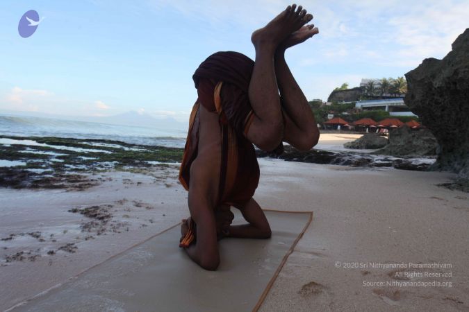 20131217 Photo 1218 1UaLENC2IjTGvTVLVMucqCsJNlQCL03eG.JPG