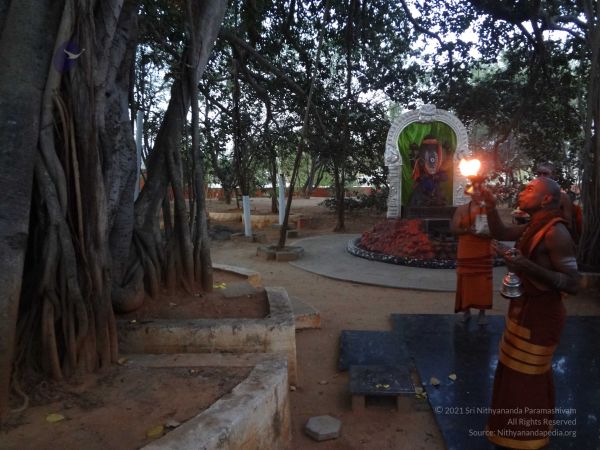 20131218 Photo 1099 1c3Rs1gqnWJ7LqlmMHf9 RCQcHQzc96zS.JPG