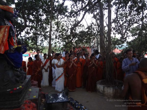 20131218 Photo 1104 1ZkNPtzEDWcYRRGiW24yRwj30bcza6-l5.JPG