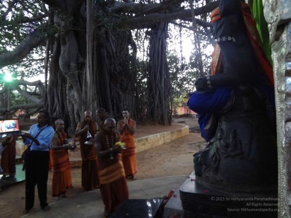 20131218 Photo 1108 1XLYBdgM-pkGbCTuCh7l0cUqbbtcwxkYi.JPG