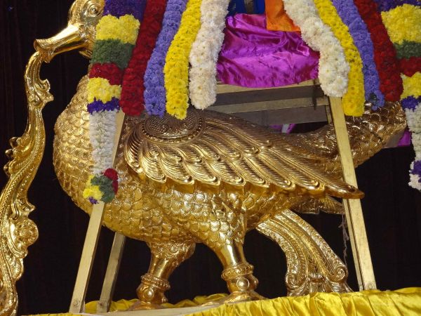 20131222 Photo 1008 1Xi 19SfnBu SsjfSO6Q2UjpxA0dzEvt7.JPG