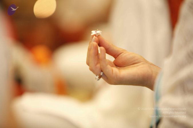 20131222 Photo 1028 11CXZhetDe8BE23J5u3lMLoVDHtLItvSs.JPG