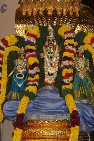 20131224 Photo 1005 1mm7sbh1VLxFJU1Q2PcwwKnLwe6qLvelO.JPG