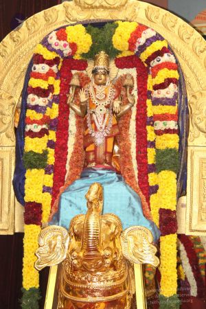 20131224 Photo 1017 1QCqXRgbXGW BSQin77x8GLSrupA9kxX0.JPG