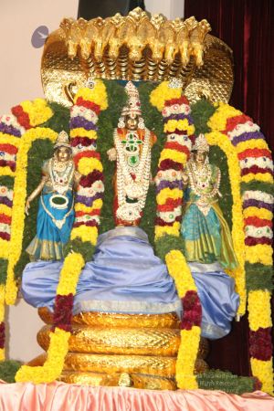 20131224 Photo 1024 15MbgnxI3KJaTvtVuWgcIUMpqMgZ gdCy.JPG