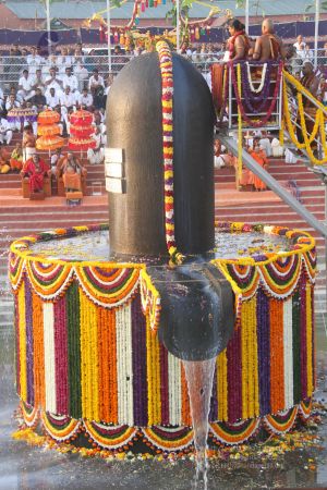 20131227 Photo 1018 1bJ5CS4TT6Yw9GlunwQiahJwZMNotfy7p.JPG