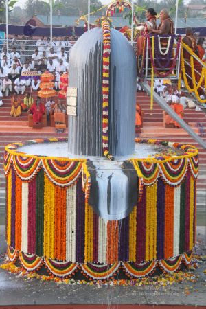 20131227 Photo 1451 1XqYOpga8QpmHzT3Jj56 lIRVo1JUpzdp.JPG