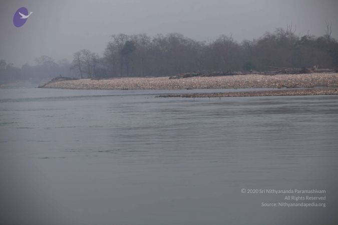 20140106 Photo 1180 1AU4ojI6IvijjKoM77XhW9csMXzuGGFSs.JPG