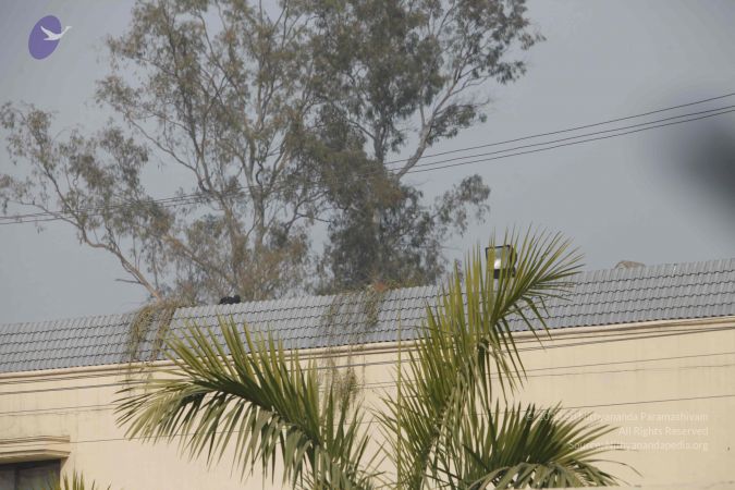 20140110 Photo 1157 1Jj1TSKOev0ePu198By2b 30aQwEUin41.JPG