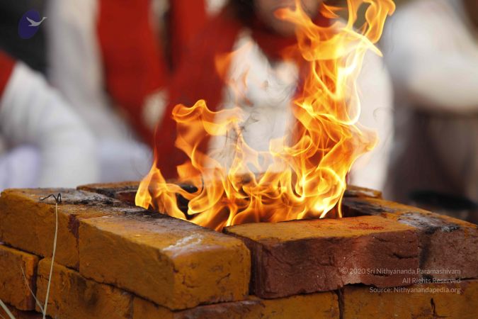 20140111 Photo 1173 1OjAWVoxYH1QmGD1MA6xYvNrhjQSBIUL8.JPG