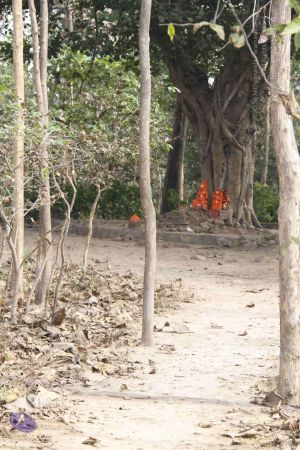 20140113 Photo 1060 1V9vrEBZM9MCsG3qcOtFSzpmd5ixZIsfJ.JPG