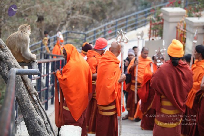 20140113 Photo 1136 1SwkkfiCsvQ5zIV6FE3FuqKxtdUCam1F4.JPG