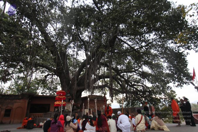 20140122 Photo 1337 1R6KtoSR8YqPzdsK7pWLAcpr4iSH290yW.JPG