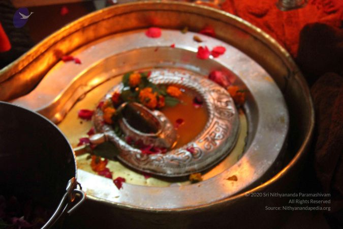 20140123 Photo 1040 1nsMZLGFjSB7CUeq0RKfBKbhJReVizdI5.JPG