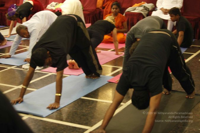 20140309 Photo 1001 1LGVGcgDmAZ4efOlsNIGcVJ0s6UB hfd9.JPG