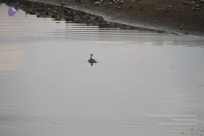 20140310 Photo 1067 1uHzNPAKFvmFceVs0DTZ8TiL5YLY4kZW1.JPG