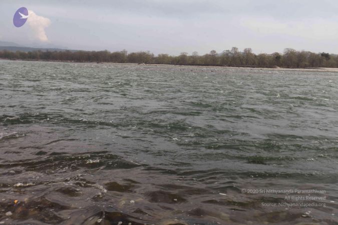 20140310 Photo 1272 1jzX1tE6Po12r95km0esqYq4Kn3trAdQT.JPG