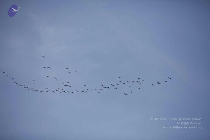 20140310 Photo 1394 1YL6VxA2vzfTxir1BUUnqk98pp5alVYLR.JPG