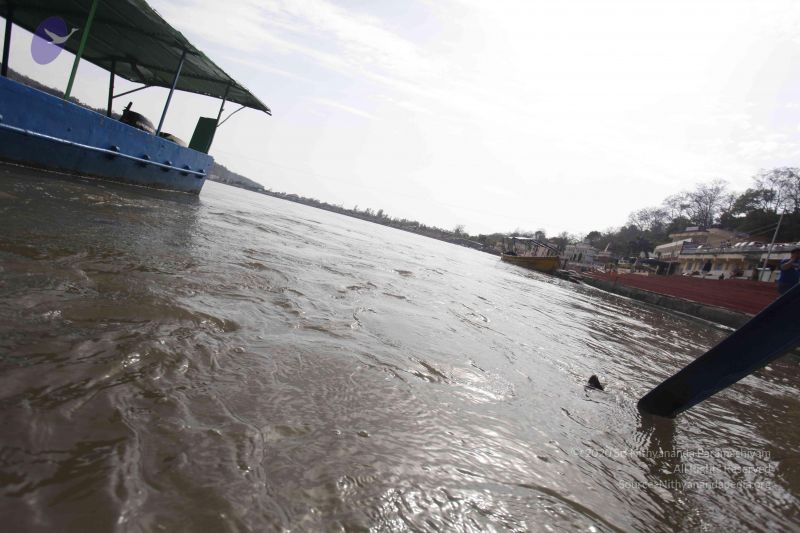 File:20140318 7673 CMP WM.jpg