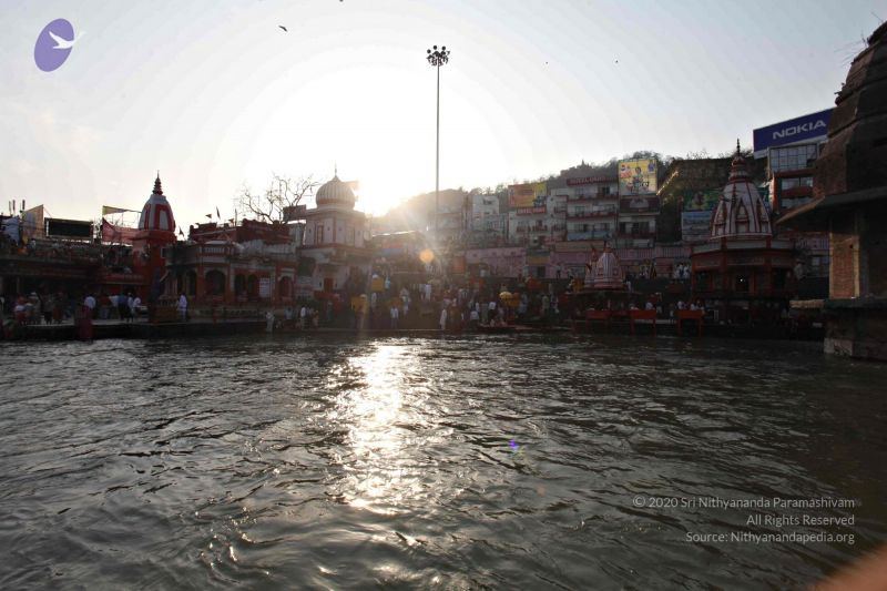 File:20140320 8422 CMP WM watermark.jpg