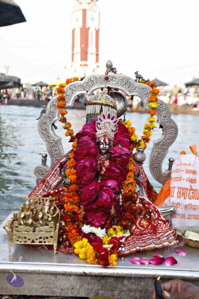 File:20140320 8437 CMP WM watermark.jpg