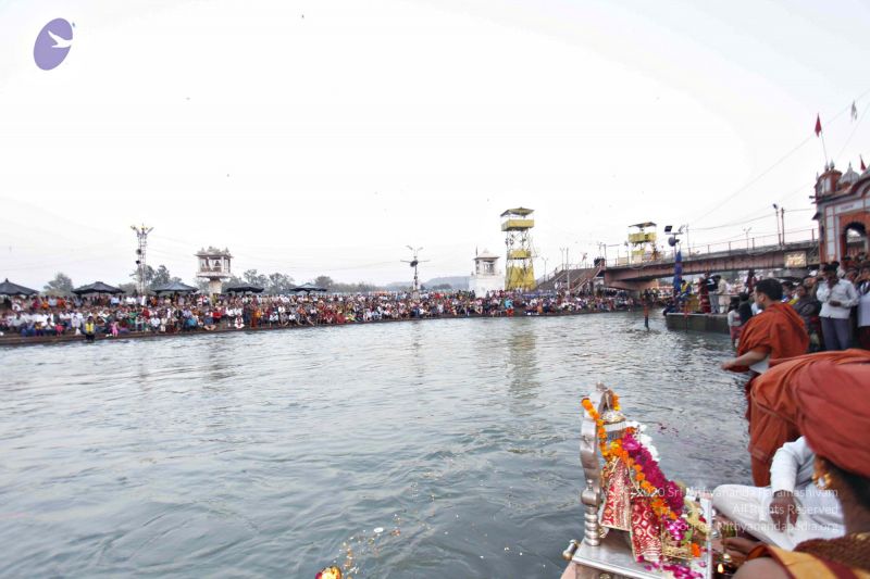 File:20140320 8571 CMP WM watermark.jpg