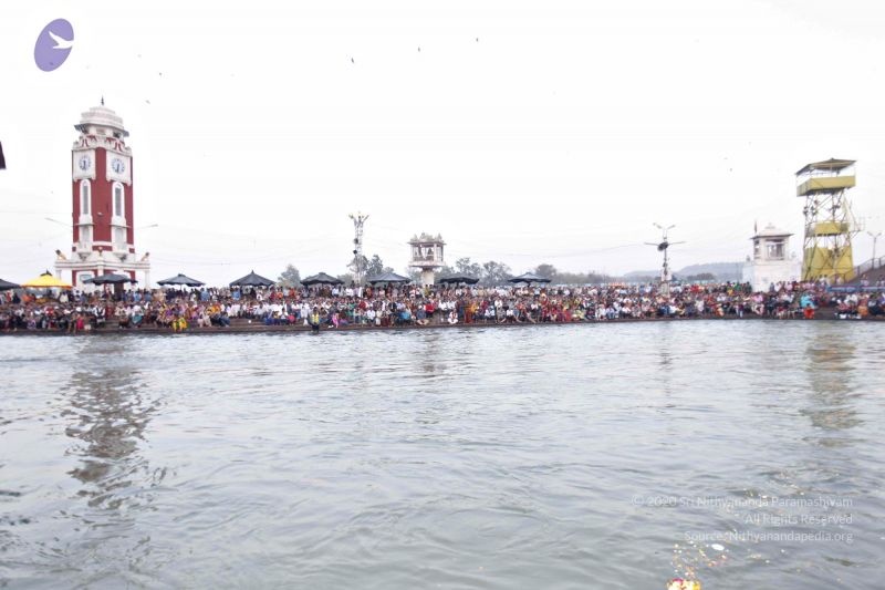 File:20140320 8572 CMP WM watermark.jpg