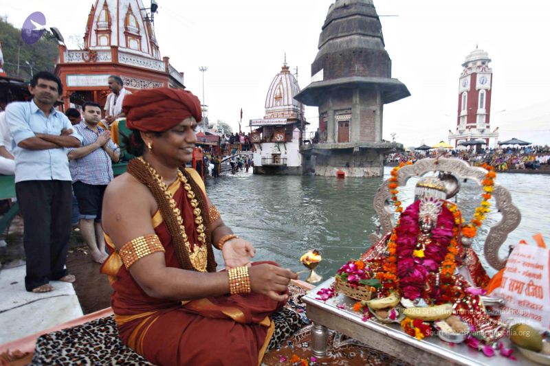 File:20140320 8575 CMP WM watermark.jpg