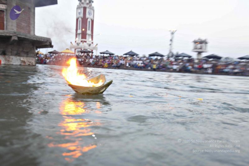 File:20140320 8621 CMP WM watermark.jpg