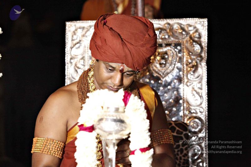 File:20140320 8786 CMP WM watermark.jpg