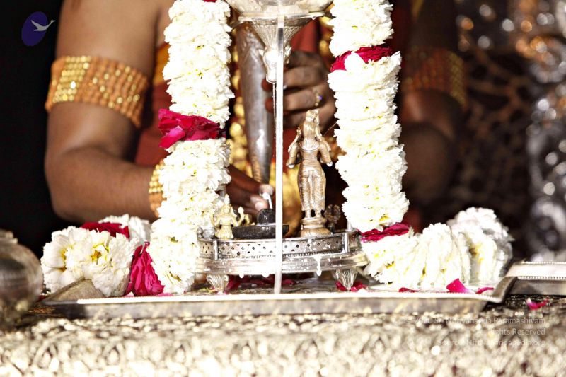 File:20140320 8789 CMP WM watermark.jpg