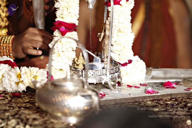 20140320 8793 CMP WM watermark.jpg