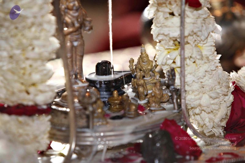 File:20140320 8797 CMP WM watermark.jpg