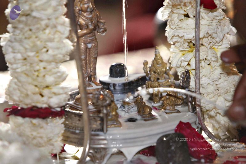 File:20140320 8798 CMP WM watermark.jpg