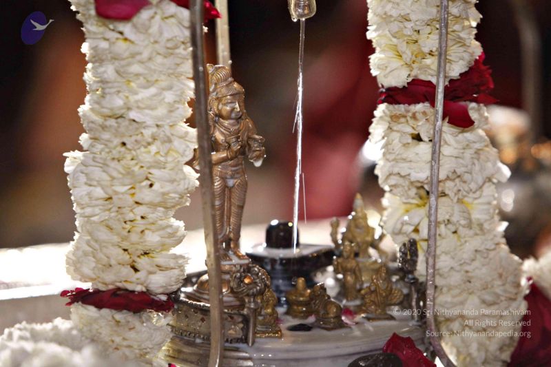 File:20140320 8801 CMP WM watermark.jpg