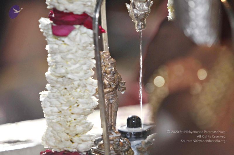 File:20140320 8802 CMP WM watermark.jpg