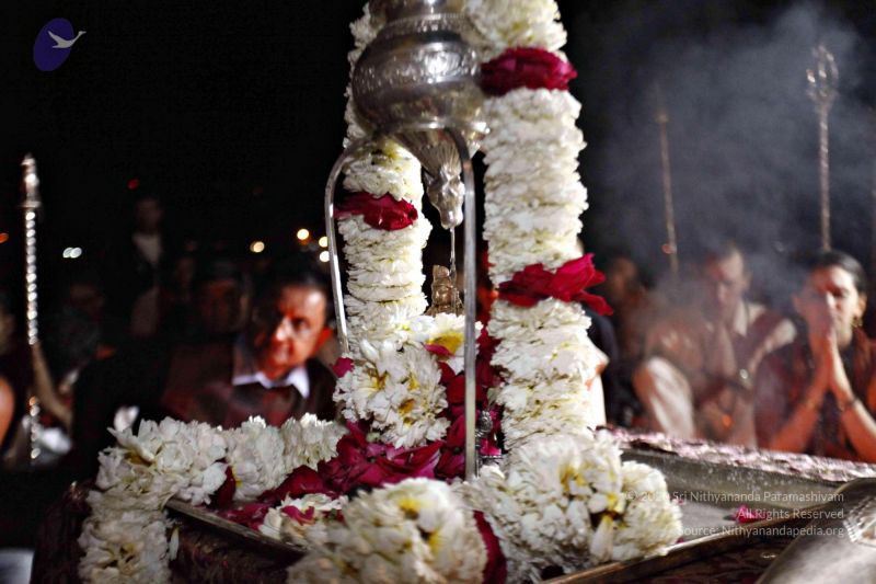 File:20140320 8880 CMP WM watermark.jpg