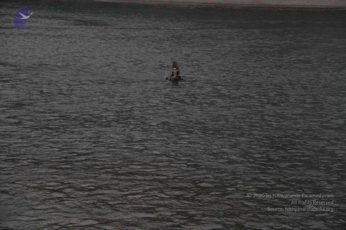 20140328 Photo 1058 1nHfim bBWr1mdA7UmEw5E5O2QDoUL0tn.JPG