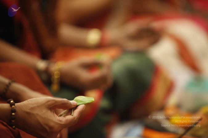 20140517 Photo 1037 1VytJ2lrGZPJ3yWn8o3RGwdOhOeMhW4vc.JPG