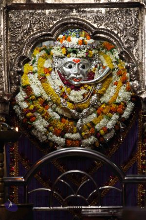 20140519 Photo 1016 1UT91pSiPKgWMsTk36291qah52wSuks4l.JPG