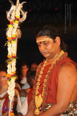 2014052020201210-IMG 0177 CMP WM 1.jpg