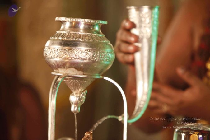 2014052020201210- MG 1056 CMP WM 1.jpg