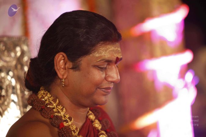 2014052020201210- MG 1107 CMP WM 1.jpg