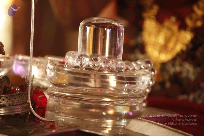 2014052020201210- MG 1127 CMP WM 1.jpg