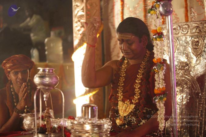 2014052020201210- MG 1131 CMP WM 1.jpg