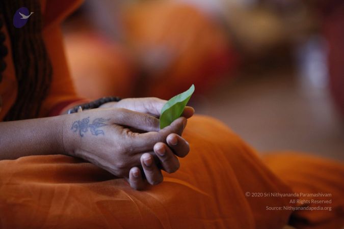 20140526 Photo 1002 1ljLp6YZe0EQtk-OrkOFKftUg7Nl-hLqg.JPG